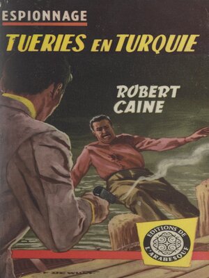 cover image of Tueries en Turquie